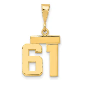 14k yellow gold small polished number 61 charm