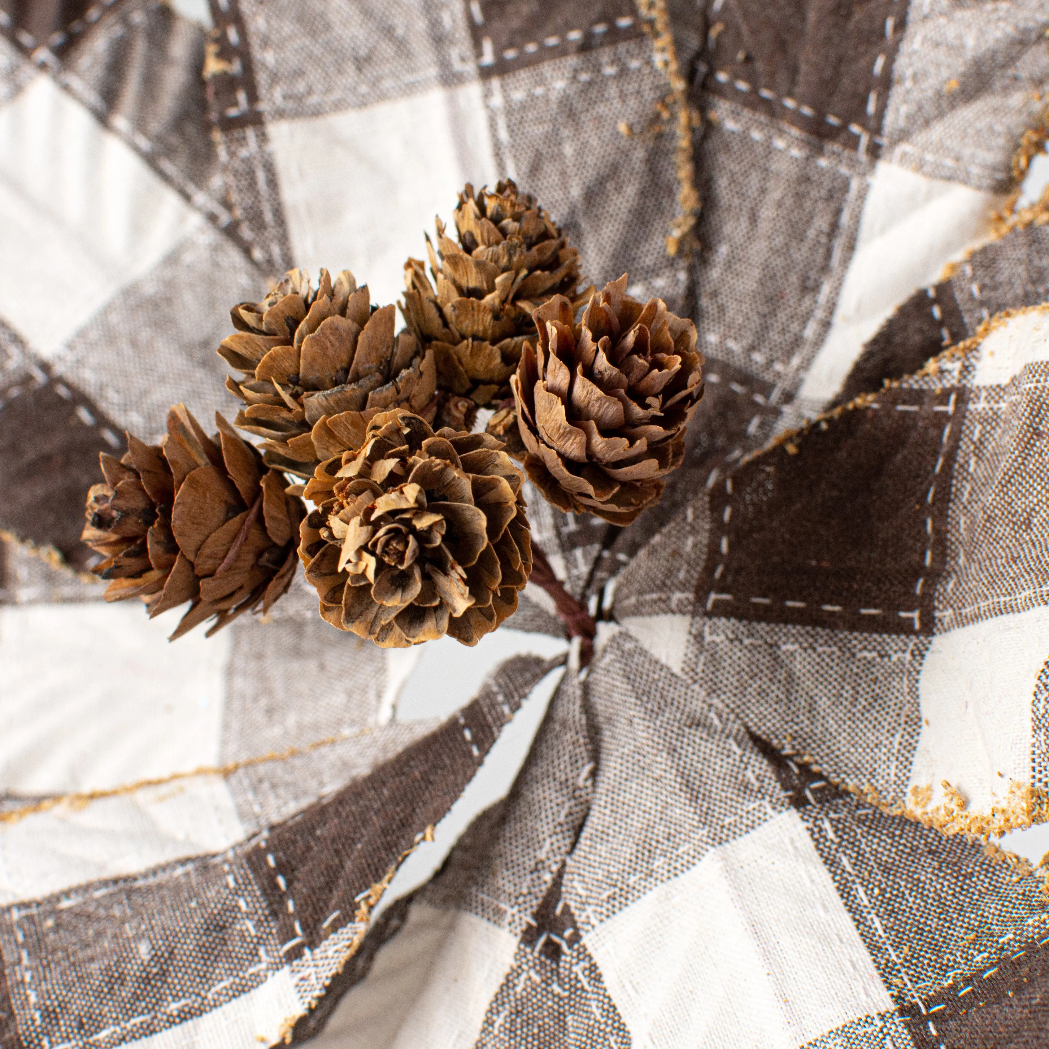 20" Check Poinsettia Stem: Brown & Natural
