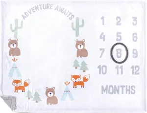 Hudson Baby Unisex Baby Plush Holiday and Milestone Blanket, Adventure Awaits, One Size