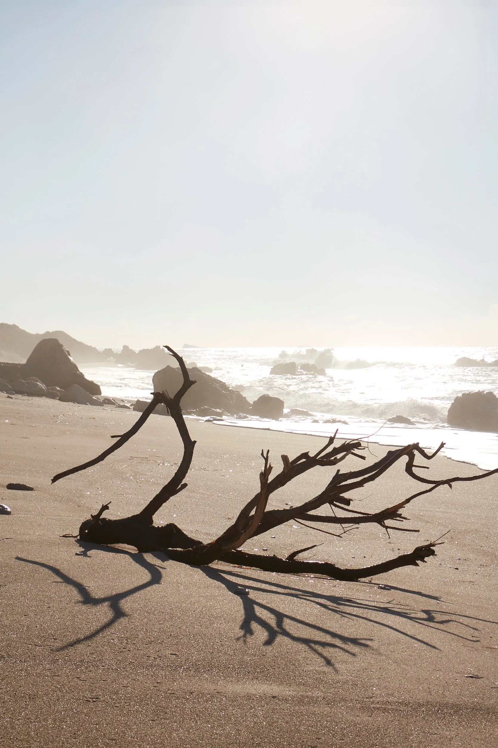 Natural Essence: Perfume Oil Earth - Captivating Aromas