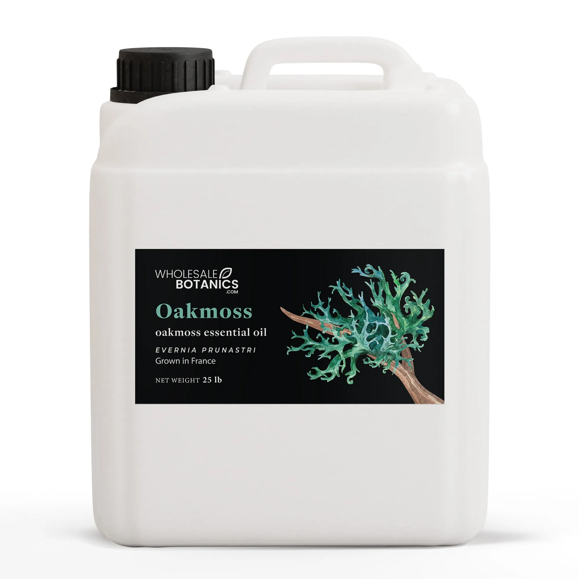 Oakmoss Essential Oil