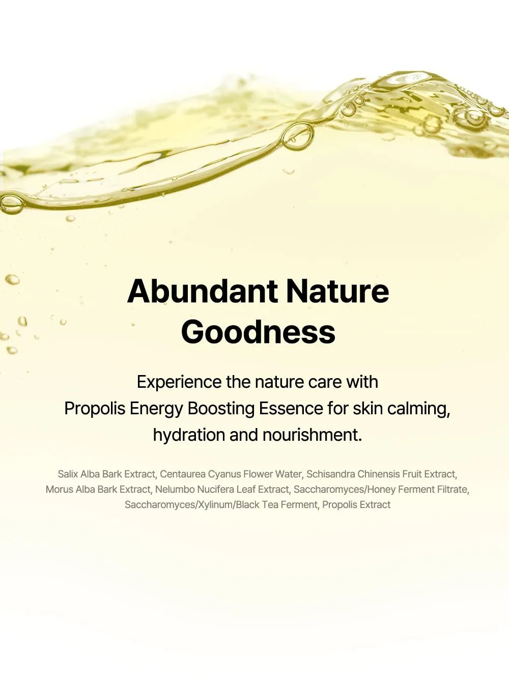 Propolis Energy Boosting Essence (100ml)